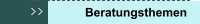 Beratungsthemen