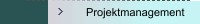 Projektmanagement