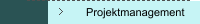 Projektmanagement